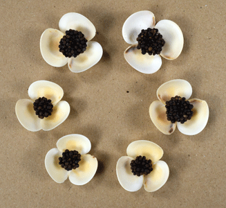Set of 6 Shell Flowers