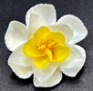 Daffodil Brooch 2